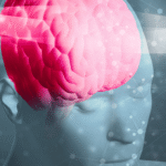 Neuroscience in coaching - decorative banner
