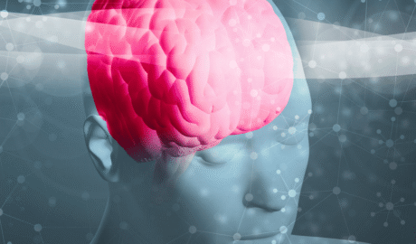 Neuroscience in coaching - decorative banner