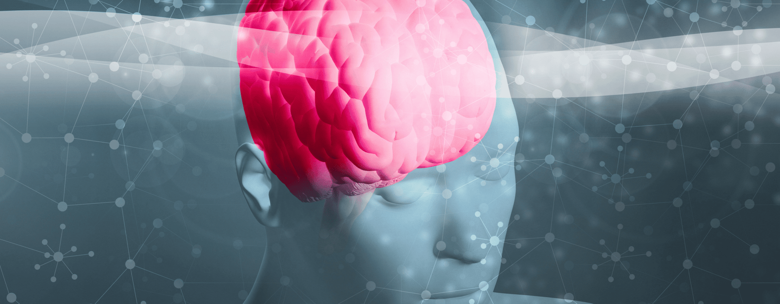 Neuroscience in coaching - decorative banner